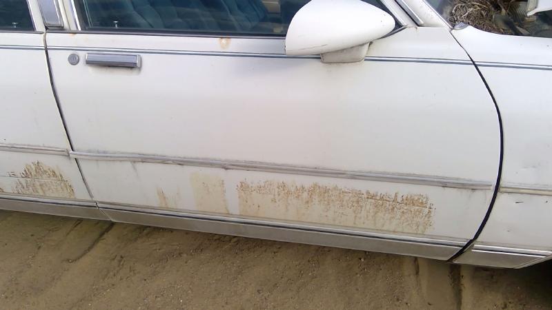1980-1989 Chevrolet Caprice (80 & Up) Front Door RH