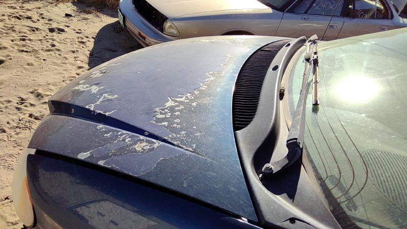 2001-2007 Dodge Caravan Hood