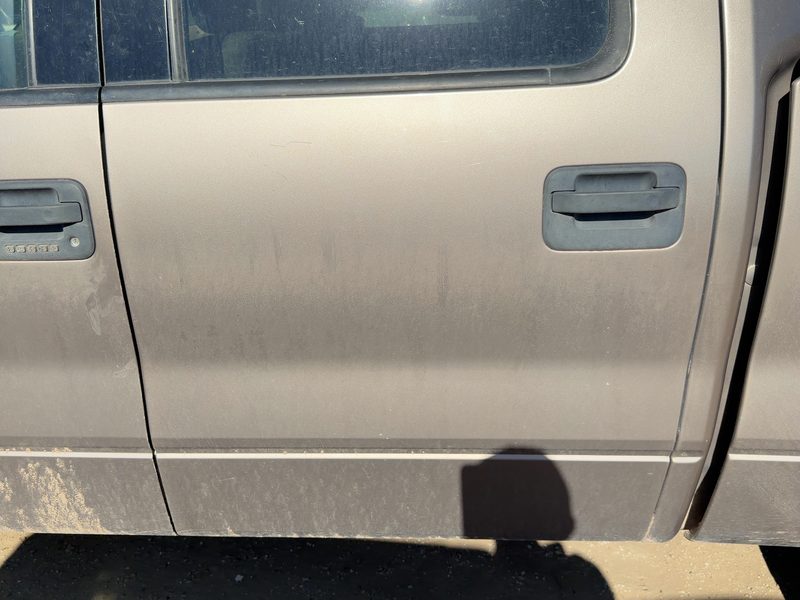 2004-2005 Ford Pickup F150 Series Rear Door LH