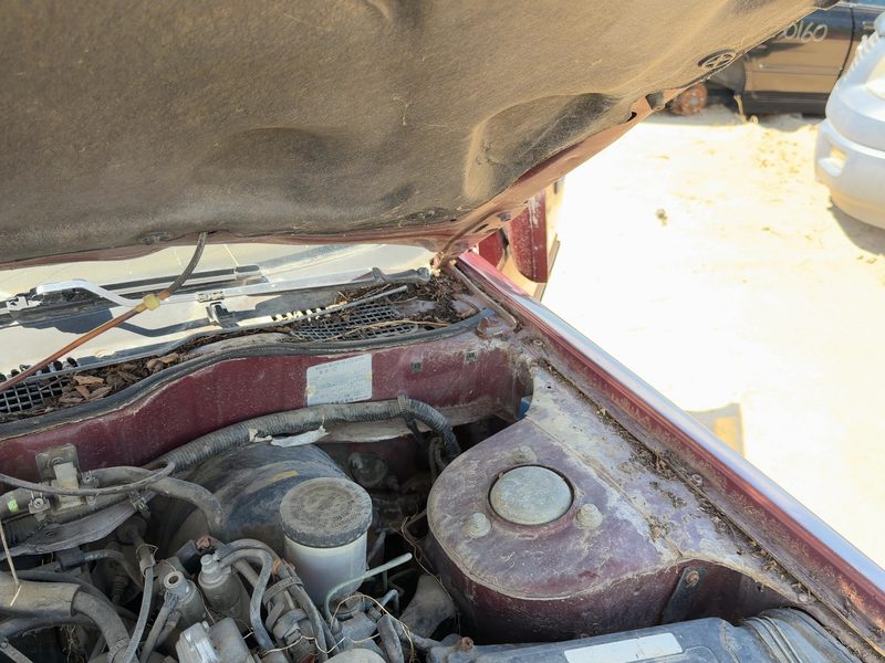 1985-1989 Nissan Maxima Hood Hinge RH