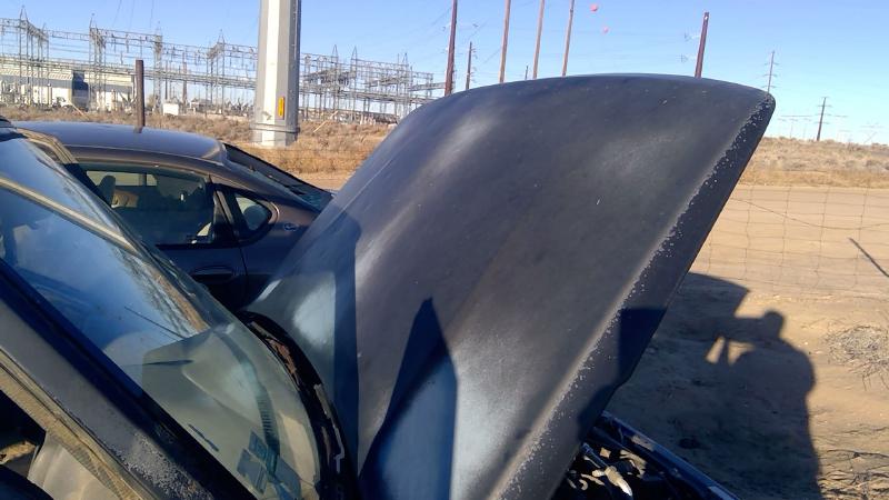 1996-1998 Chevrolet Geo Tracker Hood