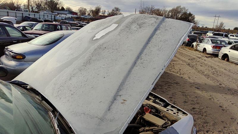 1998-2011 Ford Crown Victoria (83 & Up) Hood
