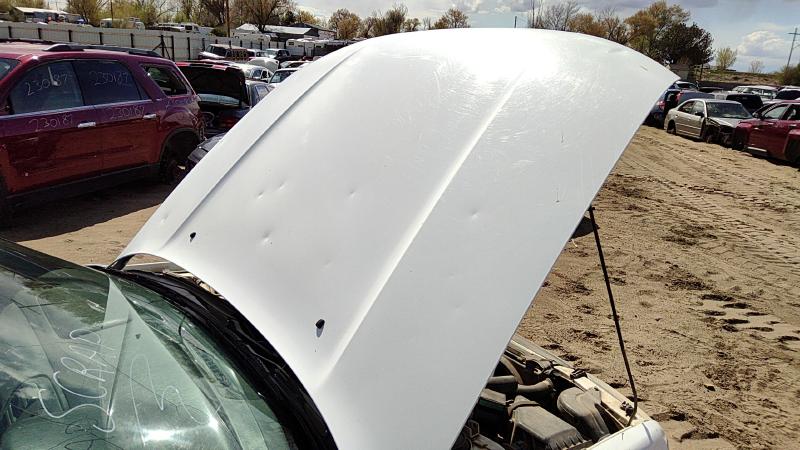 1995-1999 Subaru Legacy/ Outback Hood