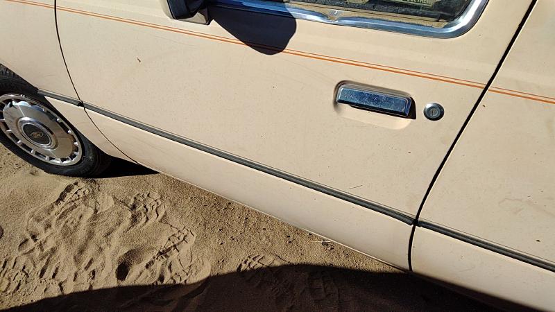 1984-1987 Ford Tempo Front Door LH