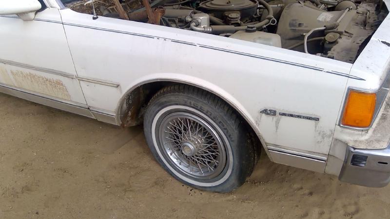 1980-1990 Chevrolet Caprice (80 & Up) Fender RH