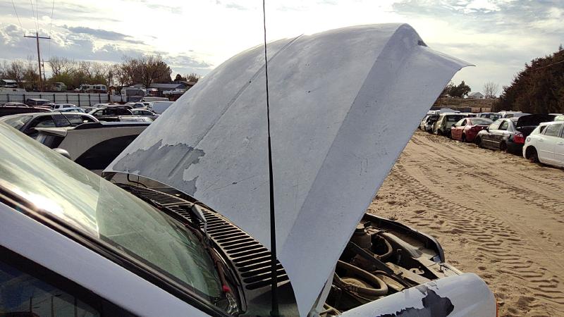 1999-2007 Ford F250 Super Duty Pickup Hood