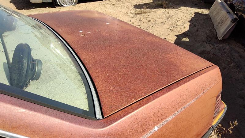 1982-1989 Pontiac Sunbird Trunk/Decklid/Hatch/Tailgate