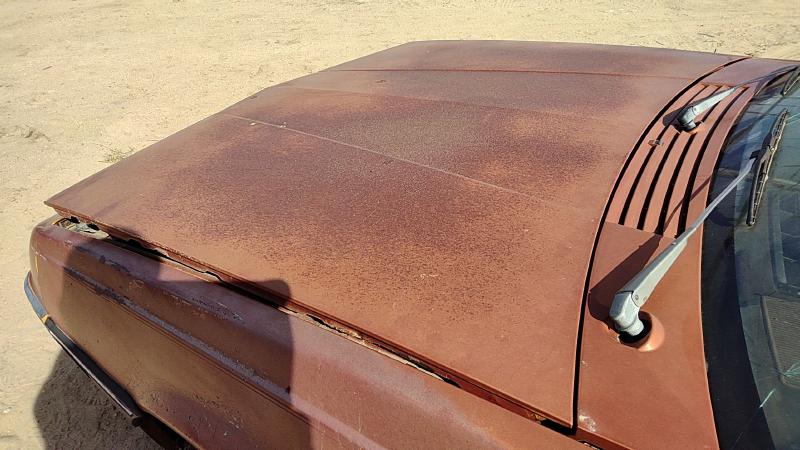 1982-1989 Pontiac Sunbird Hood