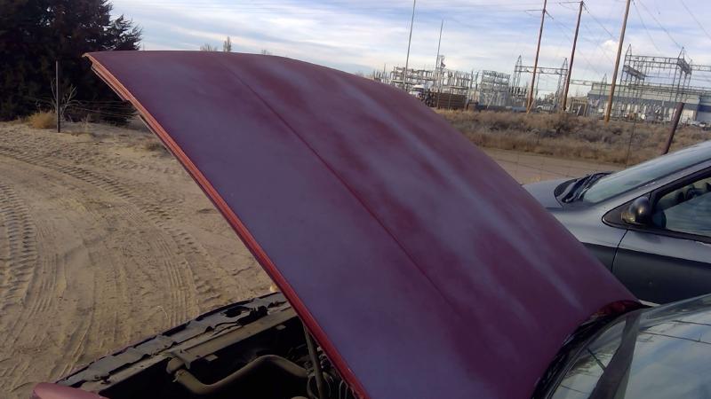 1985-1991 Oldsmobile Eighty-eight (80 & Up) Hood