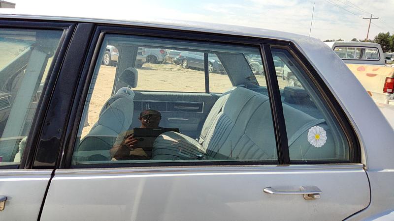 1986-1991 Oldsmobile Eighty-eight (80 & Up) Rear Door LH