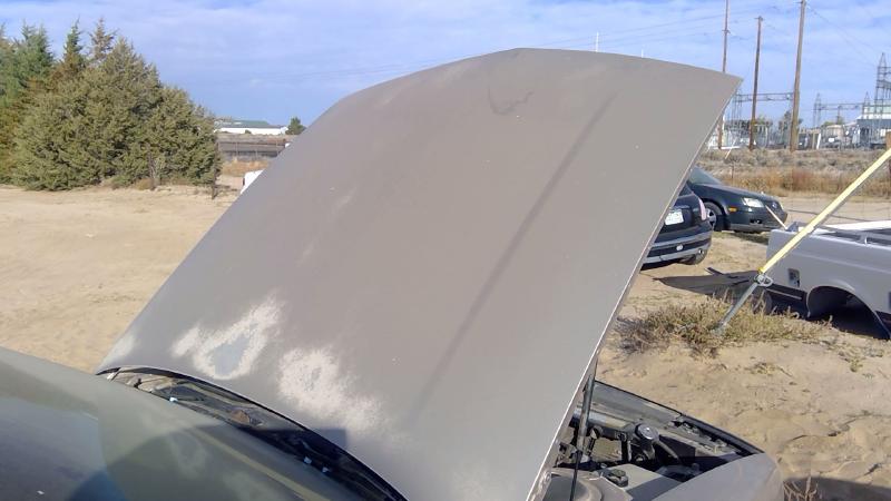 1991-1999 Oldsmobile Eighty-eight (80 & Up) Hood