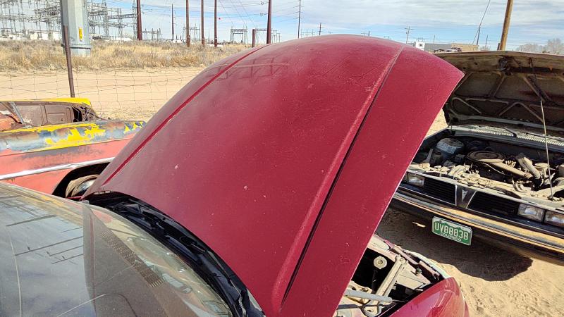 1995-2001 Lumina (also See Lumvan) Hood