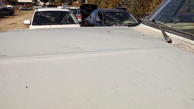 1981-1993 Dodge Pickup 350 Series Hood