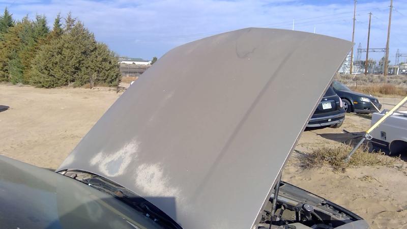 1991-1999 Oldsmobile Eighty-eight (80 & Up) Hood