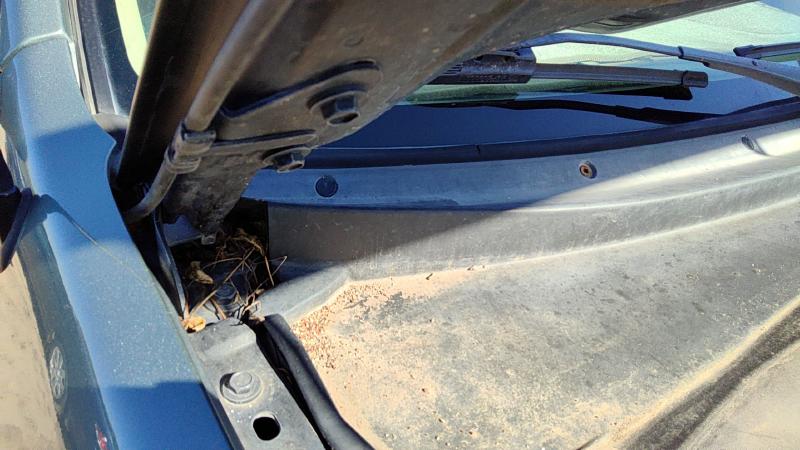 2001-2007 Ford Escape Hood Hinge RH