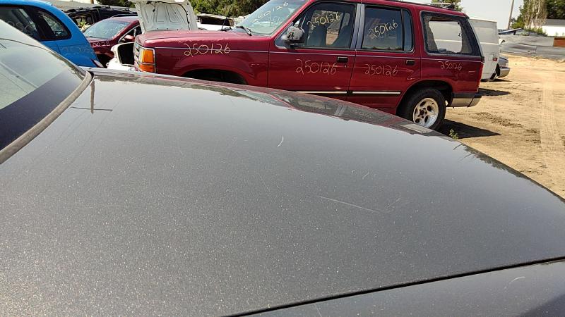1997-2005 Buick Park Avenue (80&up) Trunk/Decklid/Hatch/Tailgate