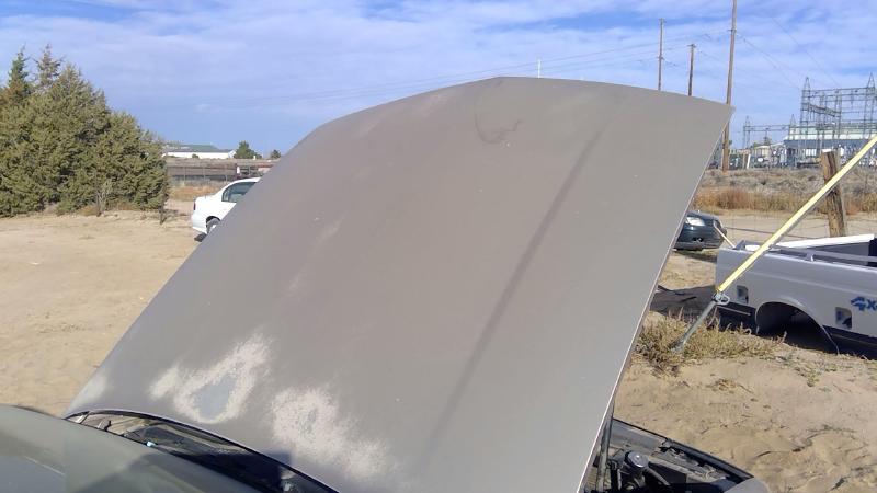 1991-1999 Oldsmobile Eighty-eight (80 & Up) Hood