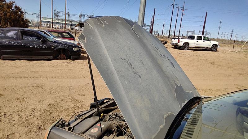 2000-2005 Cadillac Deville (80 & Up) Hood