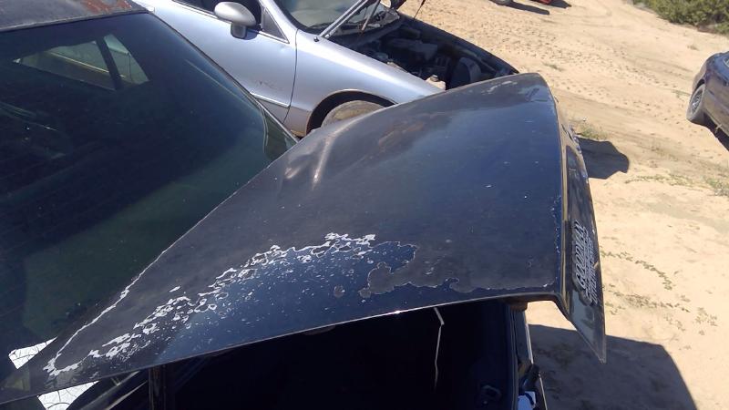 1991-1996 Buick Park Avenue (80&up) Trunk/Decklid/Hatch/Tailgate
