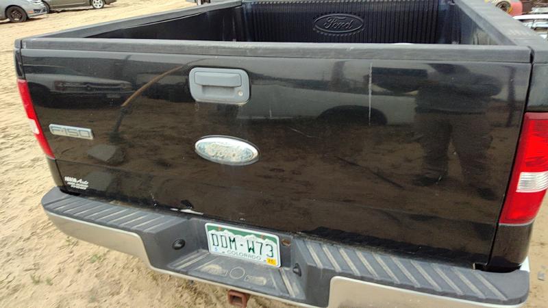 2004-2008 Ford Pickup F150 Series Trunk/Decklid/Hatch/Tailgate