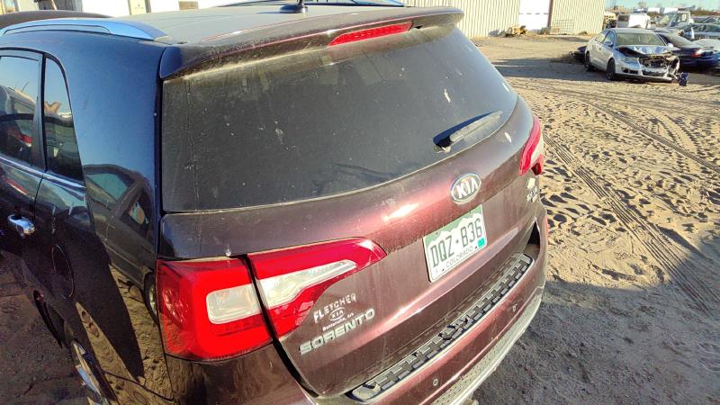 2014-2015 Kia Sorento Trunk/Decklid/Hatch/Tailgate