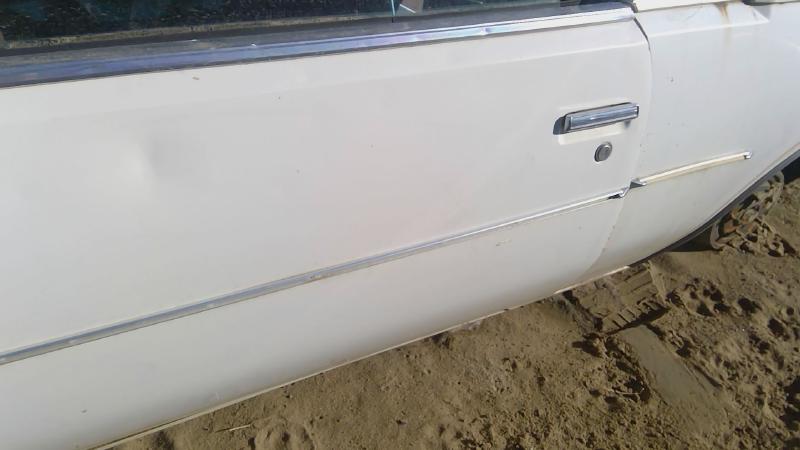 1978-1980 Regal (also See Somerset 85-87) Front Door LH