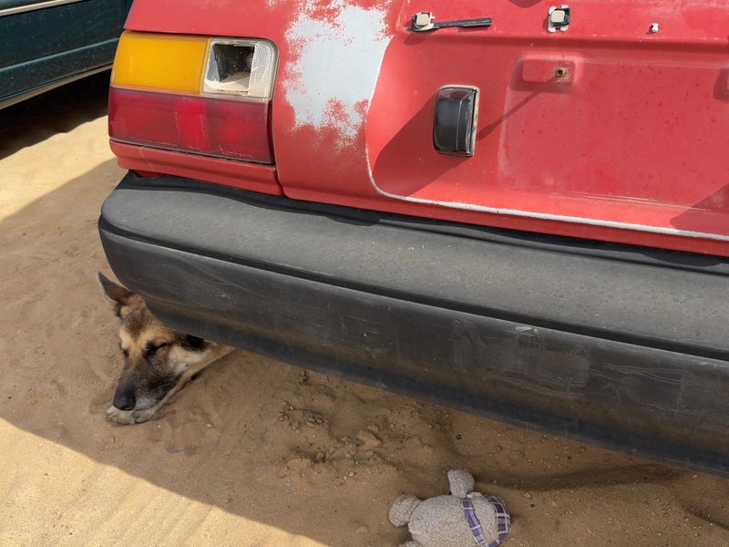 1987-1988 Toyota FX (includes Fx16) Rear Bumper Assembly