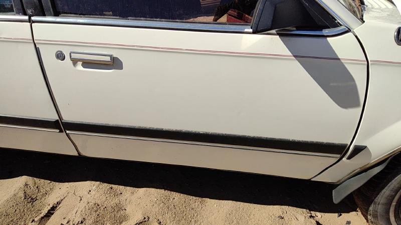 1982-1989 Buick Century Front Door RH