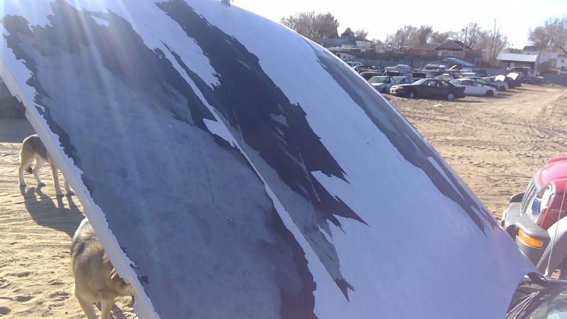 1991-1996 Chevrolet Caprice (80 & Up) Hood