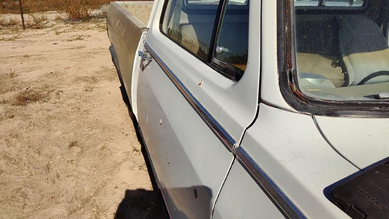 1981-1984 Dodge Pickup 350 Series Front Door RH