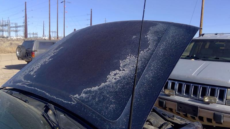 1995-2001 Explorer Hood