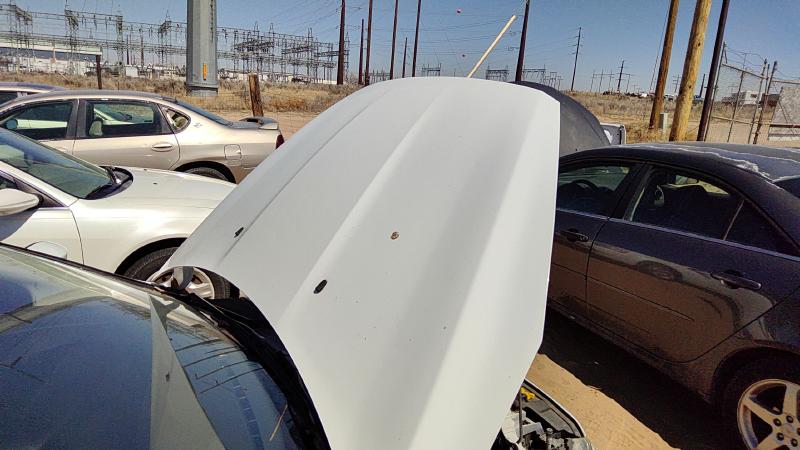 2015-2018 Ford Focus Not RS Hood