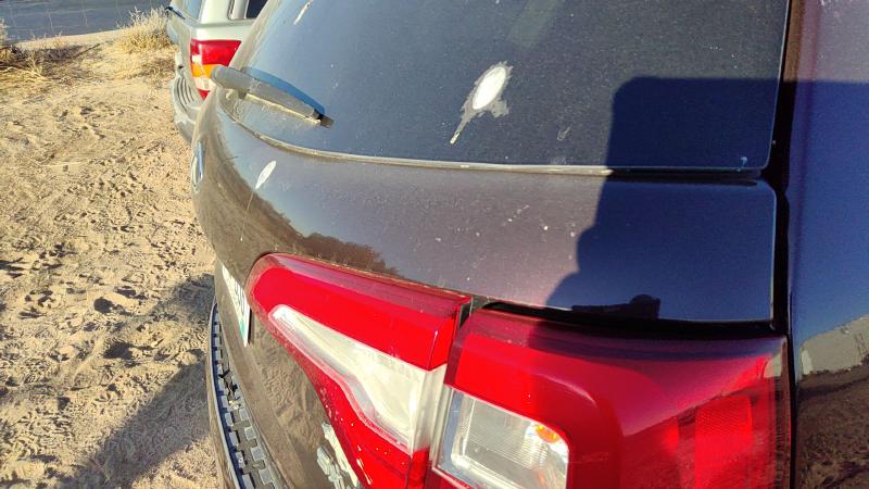 2014-2015 Kia Sorento Trunk/Decklid/Hatch/Tailgate