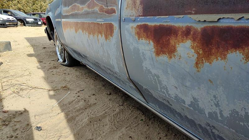 1980-1989 Cadillac Deville (80 & Up) Front Door LH