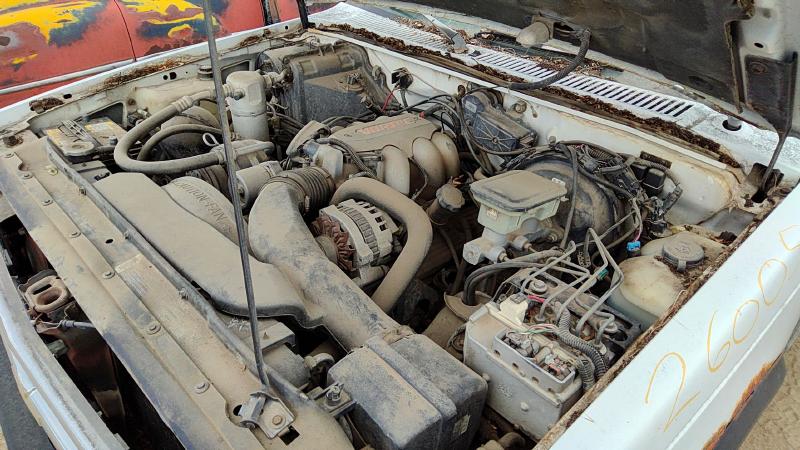 1983-1994 Blazer S10/jimmy S15 Trunk/Decklid/Hatch/Tailgate