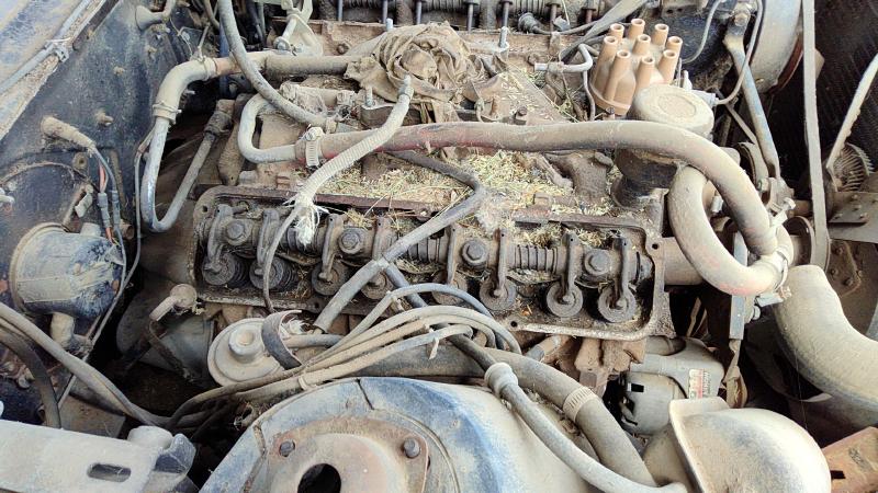 1970-2069 Thunderbird Cylinder Head