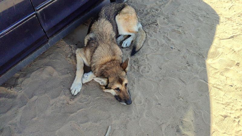 1999-2002 Oldsmobile Intrigue Crossmember/Cradle/Undercarria
