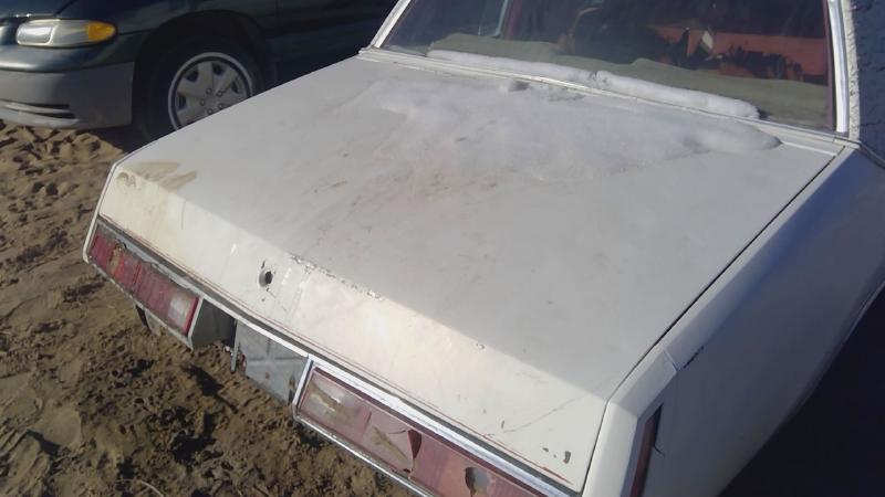 1978-1980 Regal (also See Somerset 85-87) Trunk/Decklid/Hatch/Tailgate