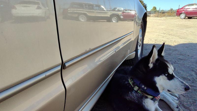 1999-2005 Pontiac Grand Am Front Door RH