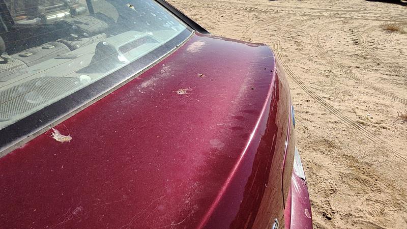 2006-2011 Hyundai Accent Trunk/Decklid/Hatch/Tailgate