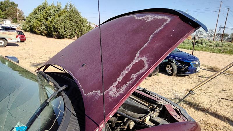 1997-2004 Ford Expedition Hood