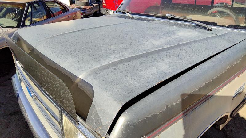 1987-1991 Ford Pickup F150 Series Hood