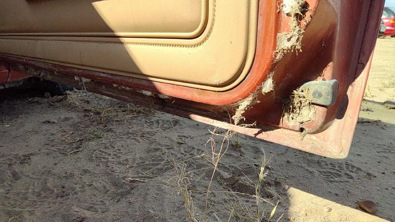 1982-1989 Pontiac Sunbird Front Door RH