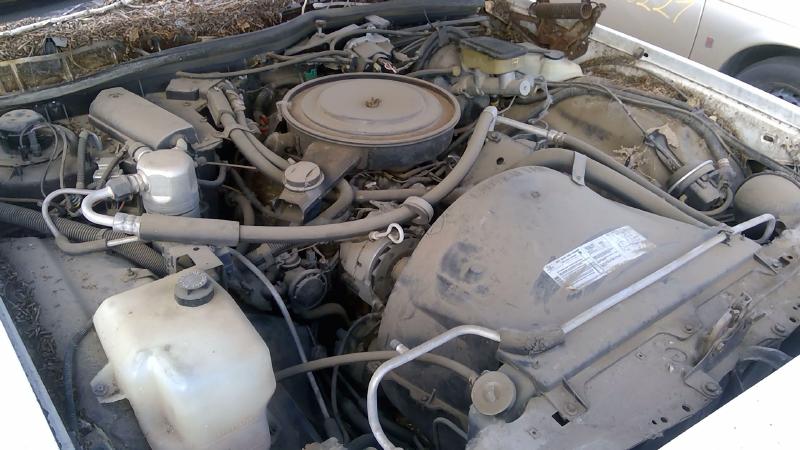 1985-1993 Chevrolet Caprice (80 & Up) Cylinder Head