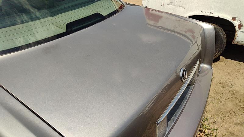 1994-1999 Cadillac Deville (80 & Up) Trunk/Decklid/Hatch/Tailgate