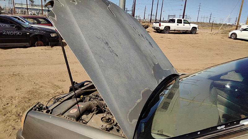 2000-2005 Cadillac Deville (80 & Up) Hood