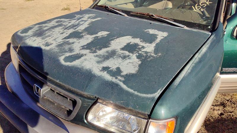 1998-2004 Honda Passport Hood