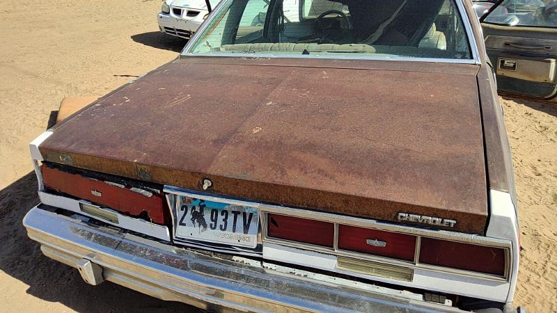 1977-1979 Chevrolet (full Size) Trunk/Decklid/Hatch/Tailgate
