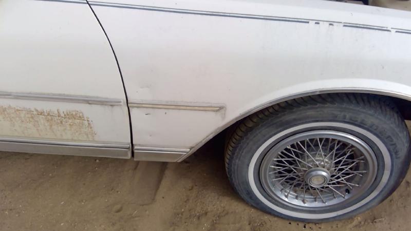 1980-1990 Chevrolet Caprice (80 & Up) Fender RH