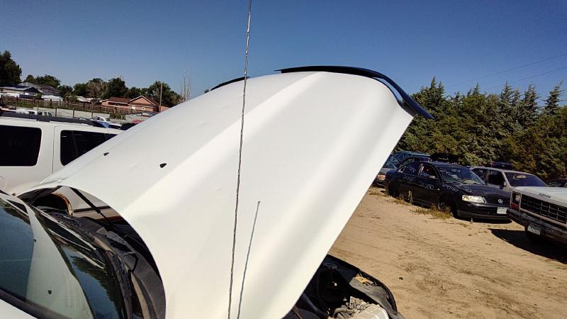 2009-2024 Dodge Ram Pickup 1500 Series Hood